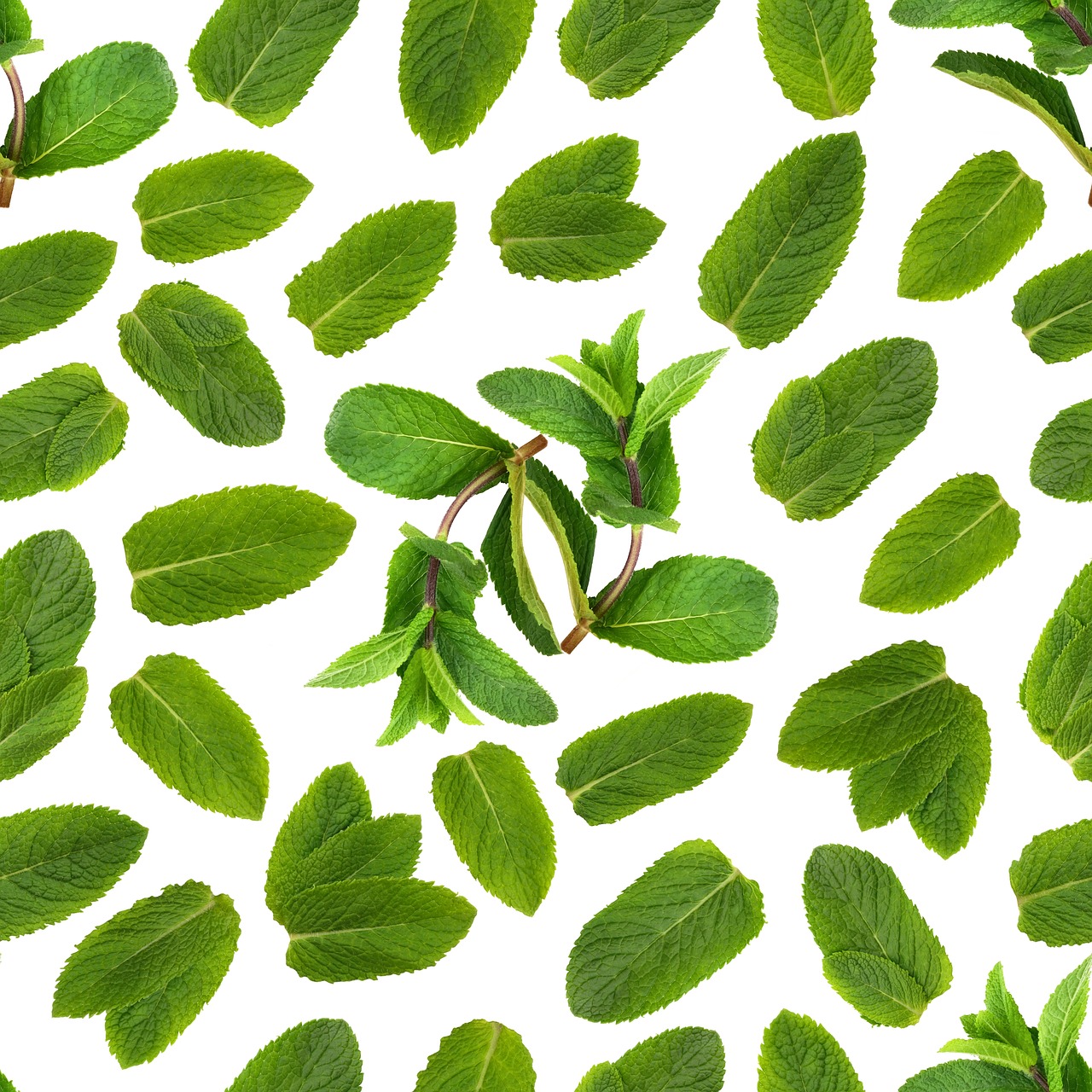 cosa significa ecocardio